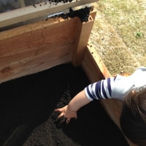 キエーロの土をいじる息子