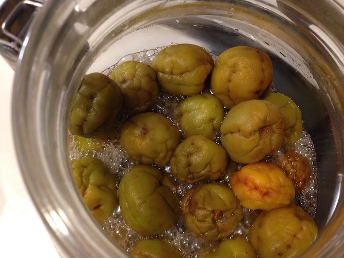 蓋を開けた梅シロップ