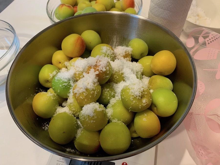 梅に塩を混ぜ込む