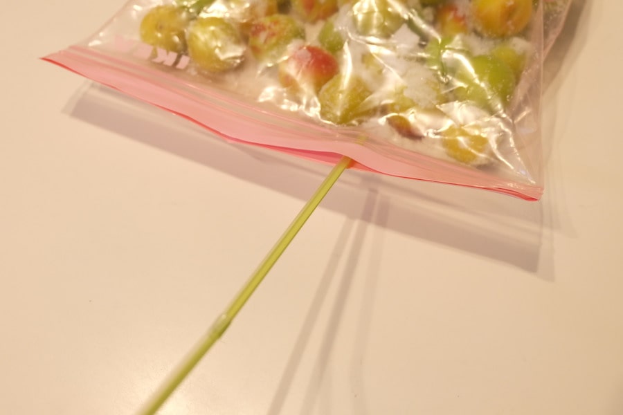 ジッパー袋を真空にする