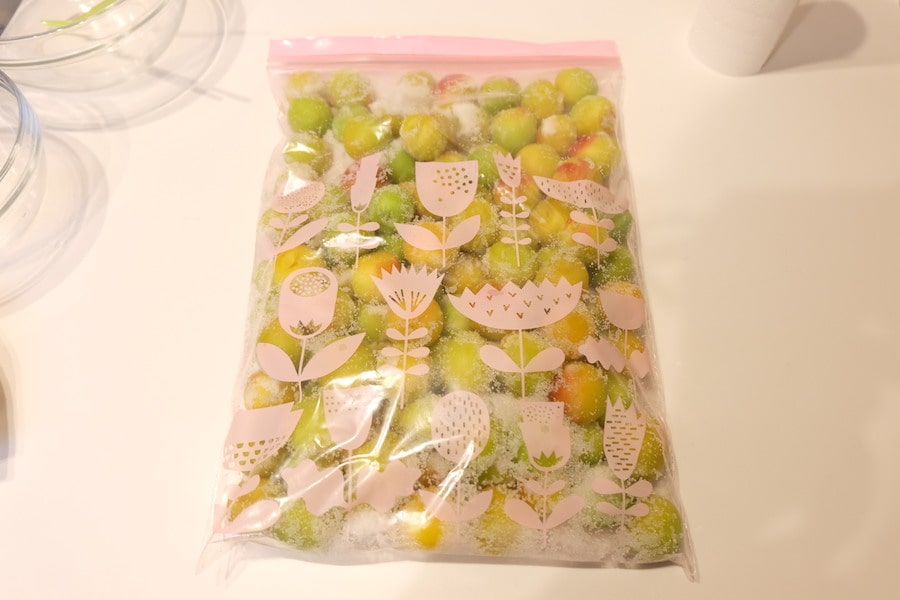 ジッパー袋に仕込んだ梅