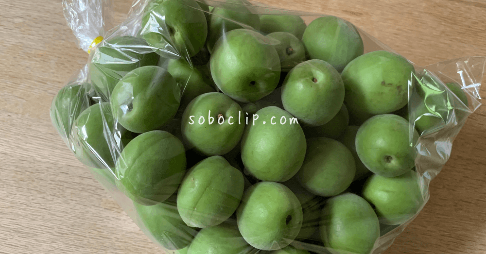青梅1kg