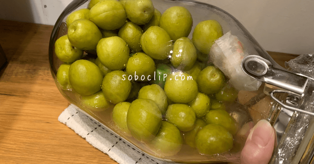 梅紫蘇も再活用しちゃう