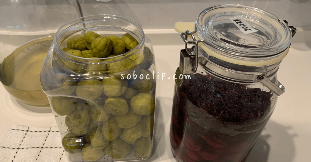 フレッシュロックとセラーメイト